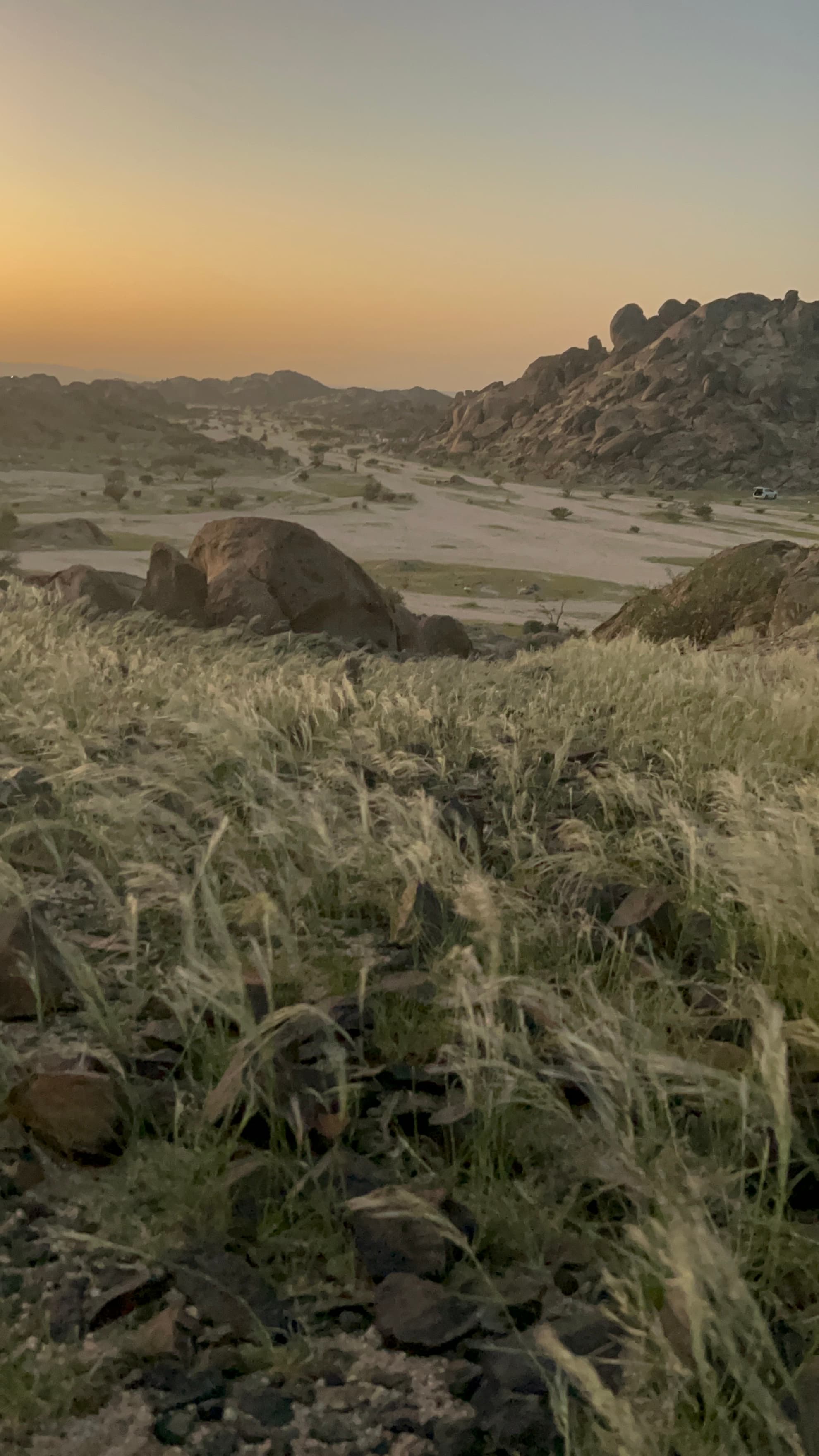 شذى عسيري gallery image 4