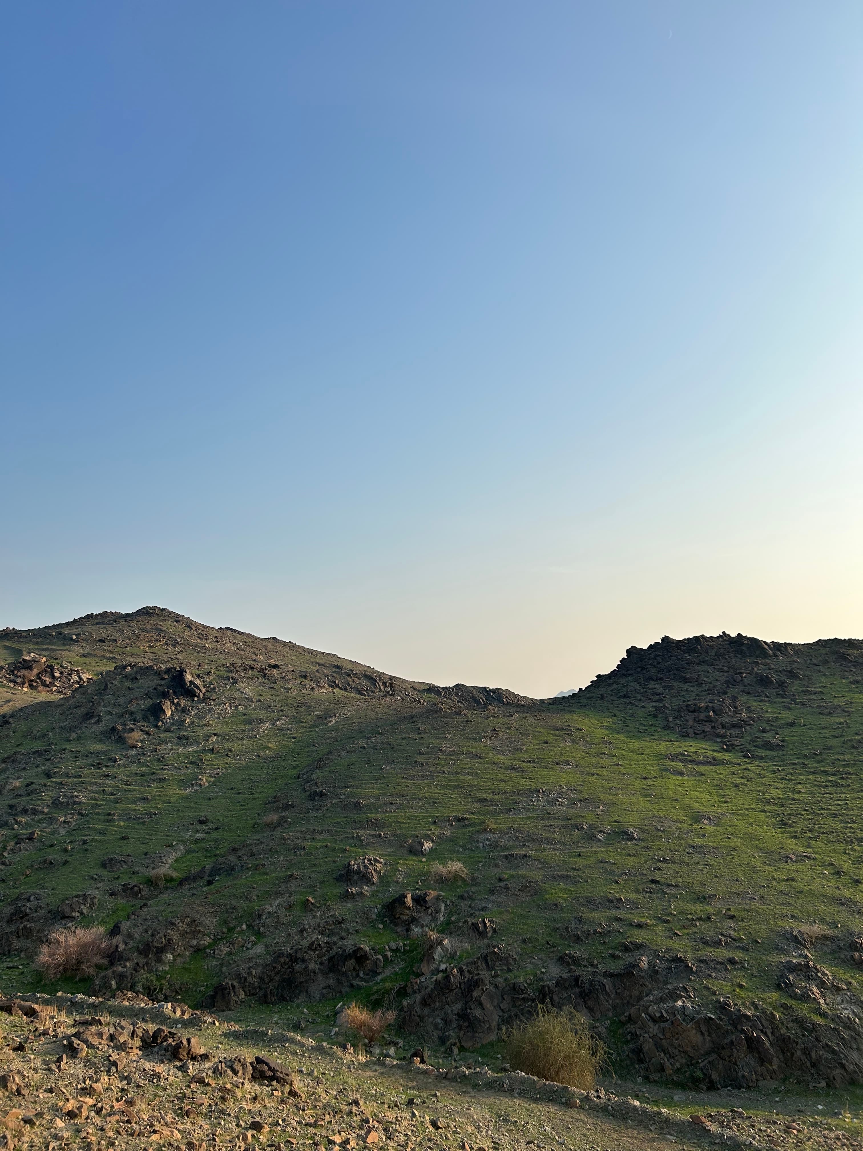 شذى عسيري gallery image 5