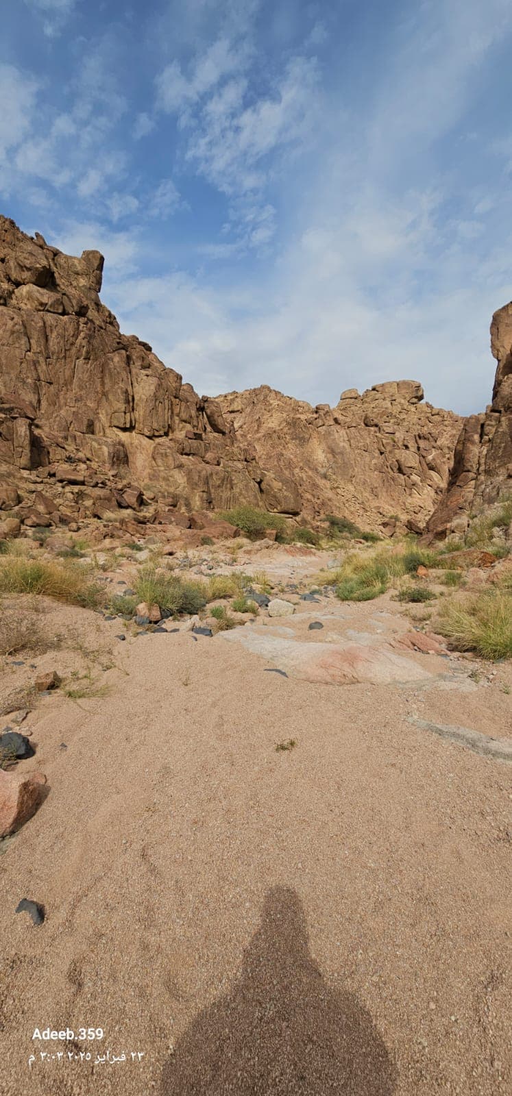 Hiking in the wilderness park in Medina