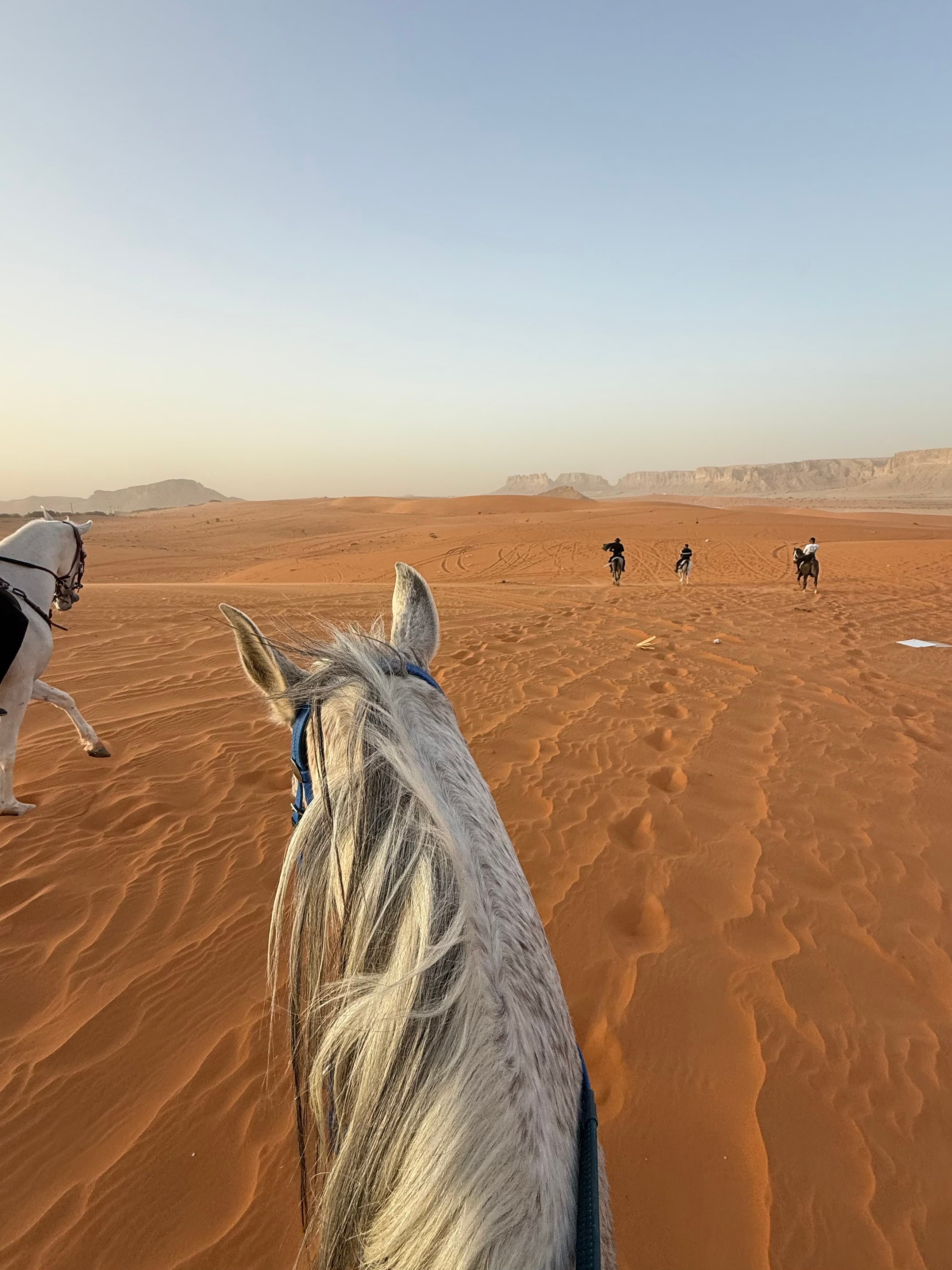 رحلة صحراوية مليئة بالمغامرات 