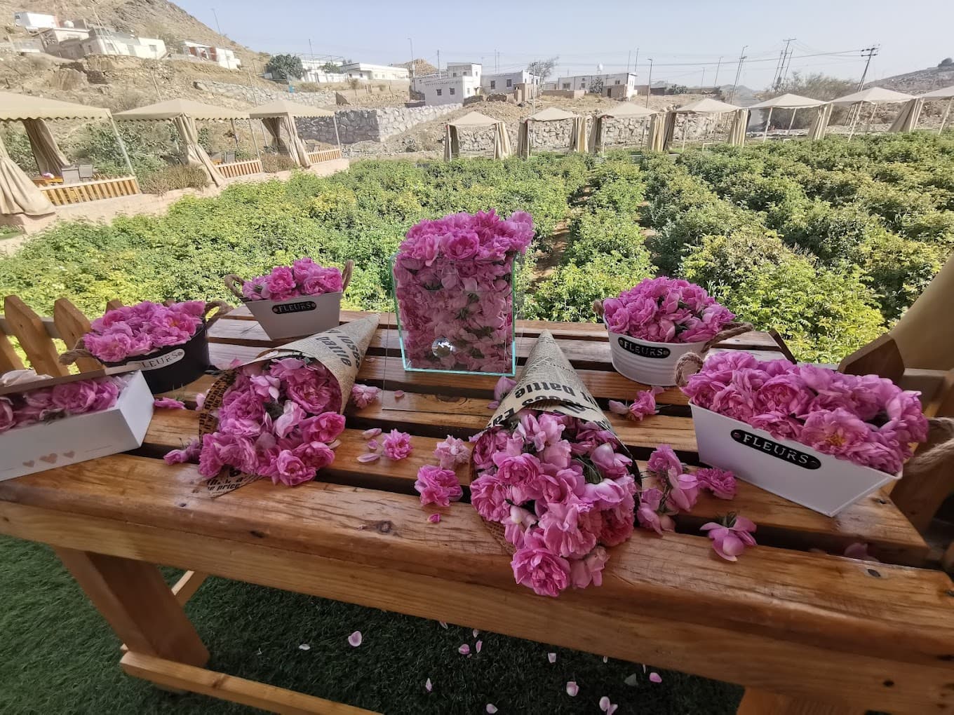 Paket keluarga (6 orang) selama 3 hari: antara Jeddah dan Taif