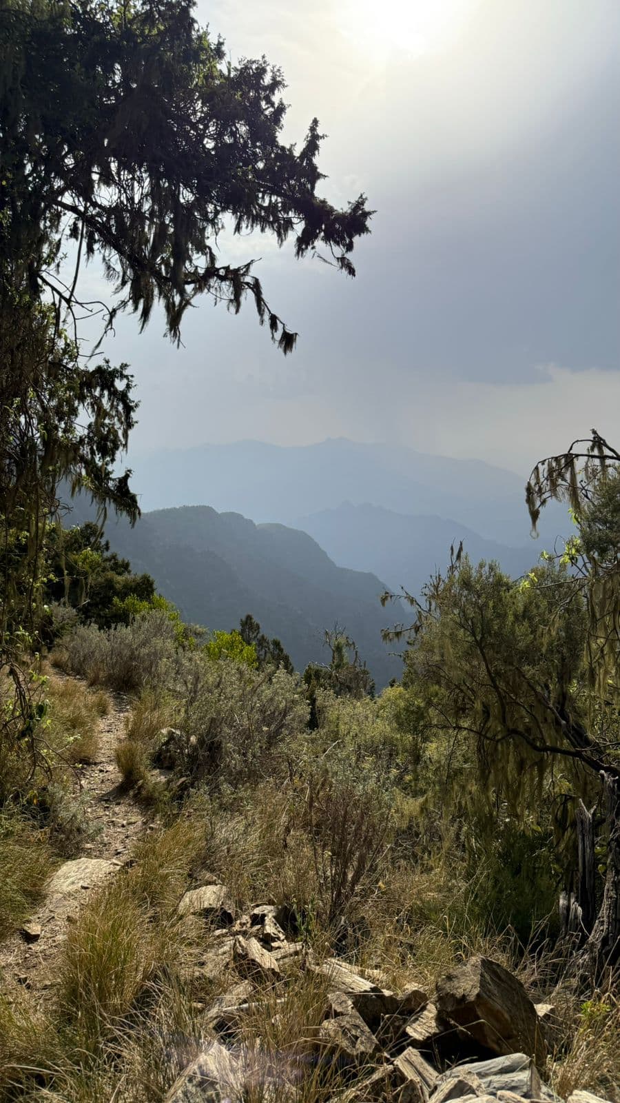 ابھا: السودہ میں پیدل سفر اور پہاڑی آرام، عسیر کی فطرت کا دل 🏔️