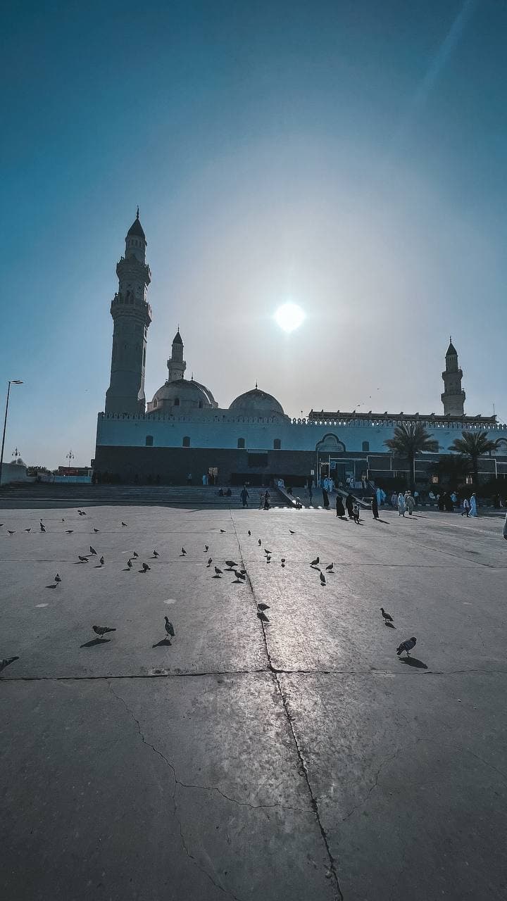 مدینہ منورہ میں حضور کا راستہ