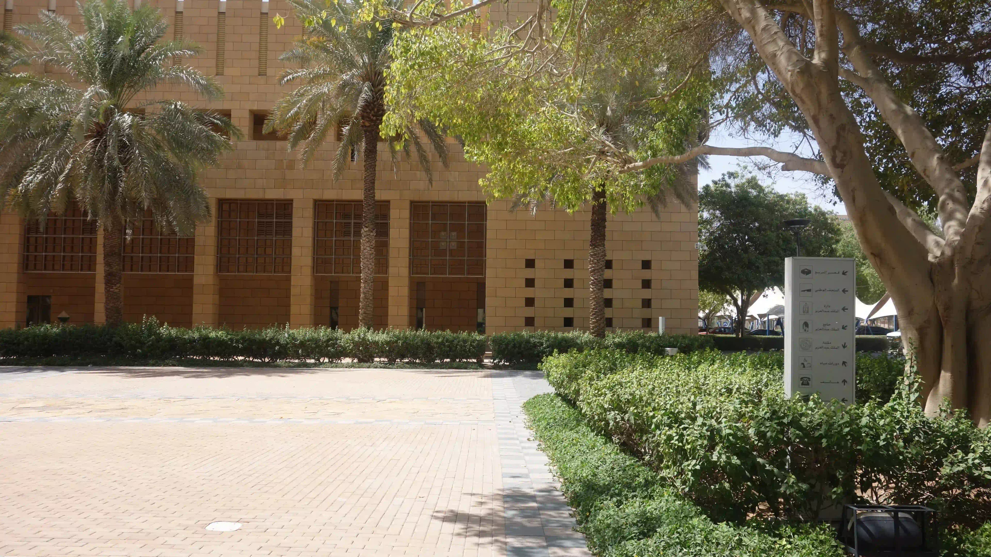 جولة في عصر ما قبل التاريخ في المتحف الوطني في الرياض