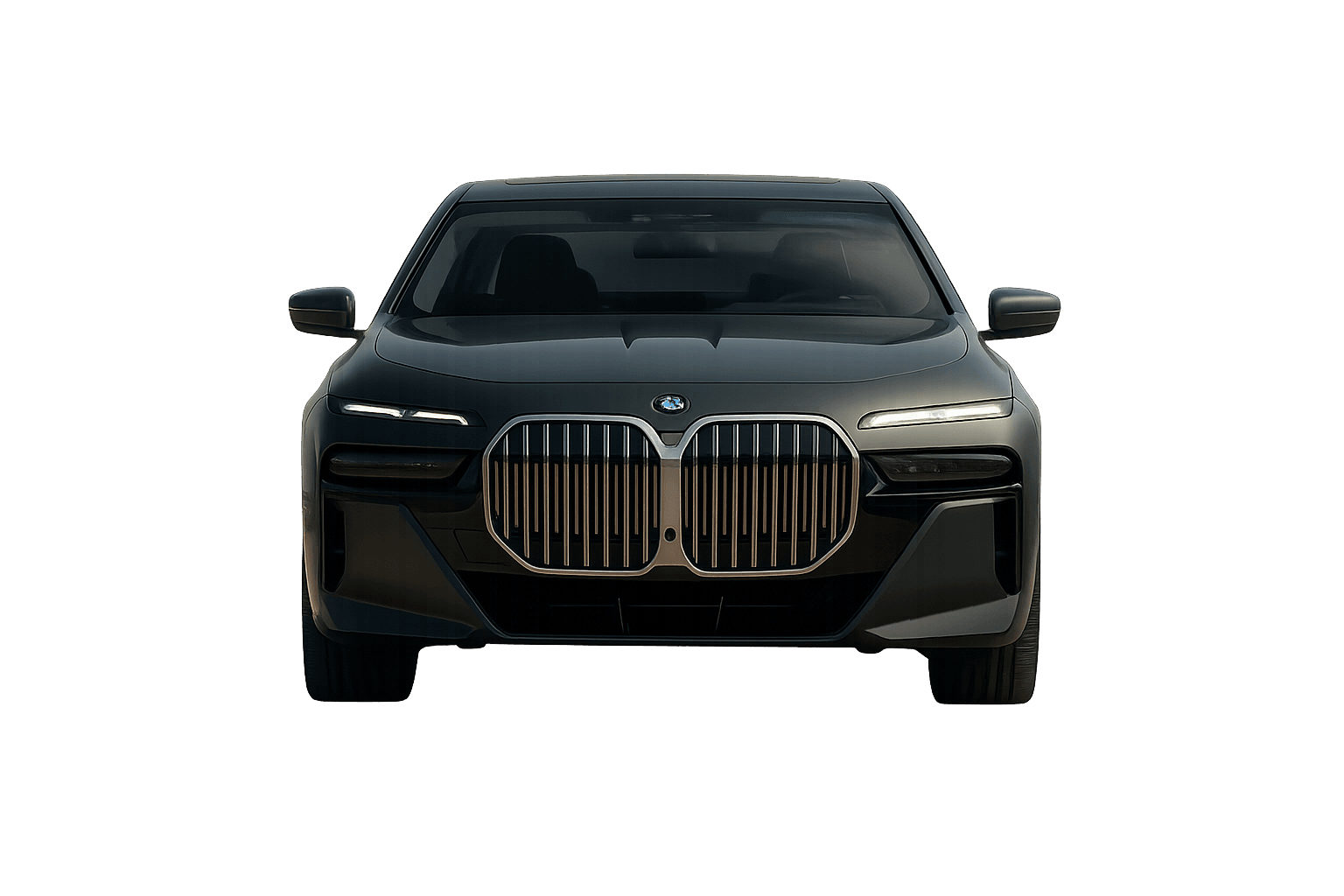 Luxury BMW Series 7 with driver for one trip to Medina without stops