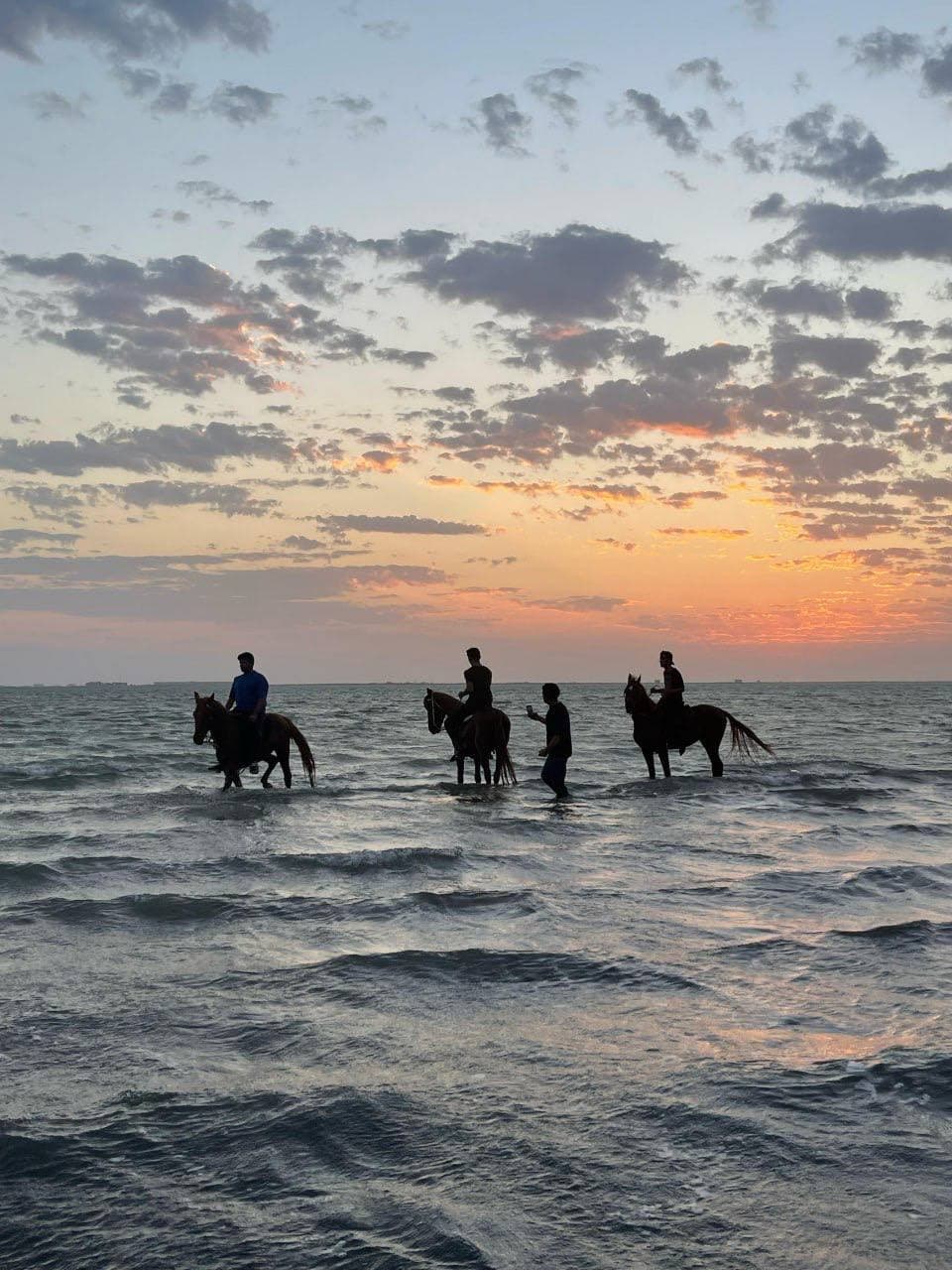 تجربة ركوب الخيل على البحر في جدة 