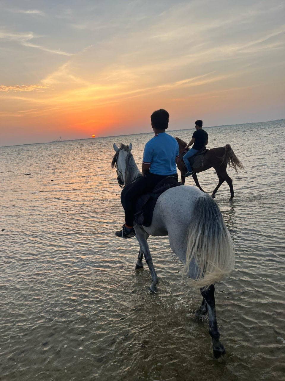 تجربة ركوب الخيل على البحر في جدة 