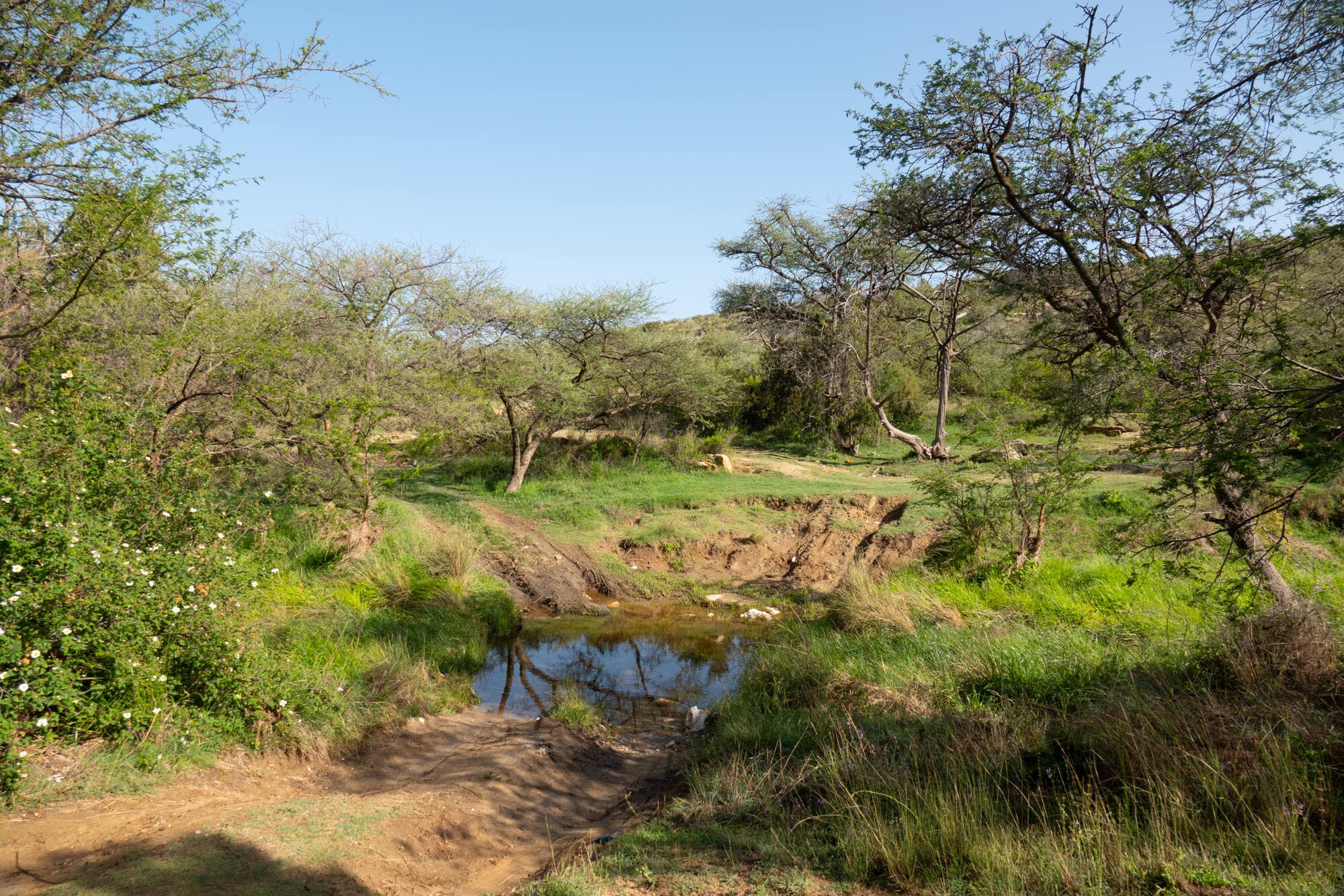 Excursión de senderismo al monte Manaa