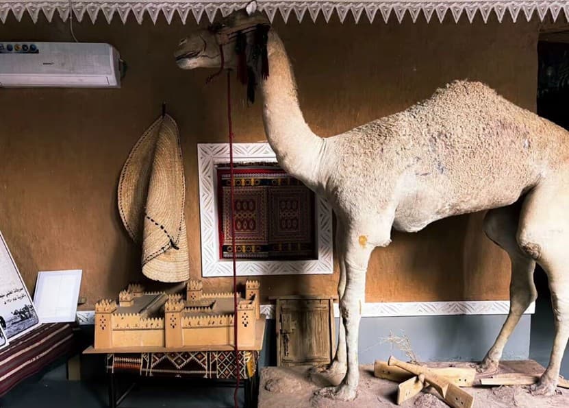 جولة في بريدة وعنيزة جادة عسيب ومتحف العقيلات 🌴