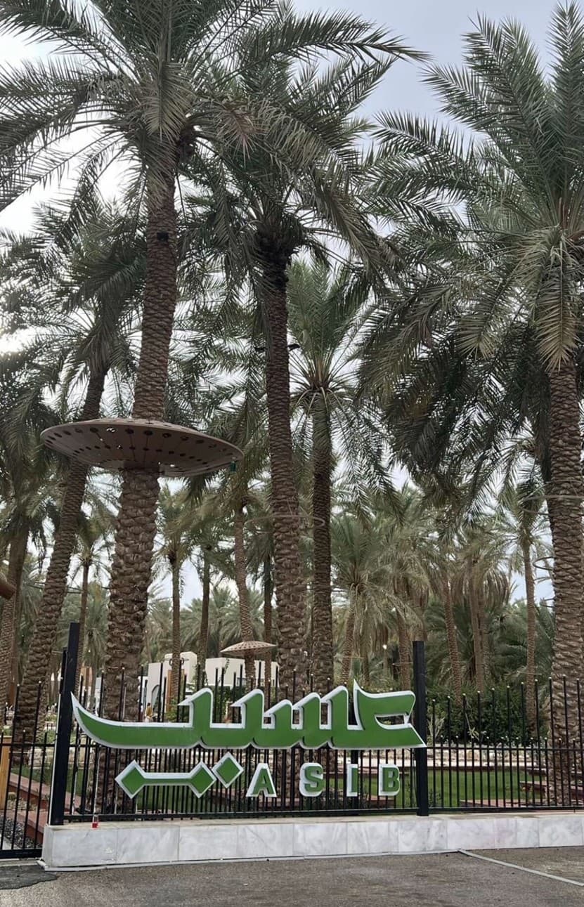 جولة في بريدة وعنيزة جادة عسيب ومتحف العقيلات 🌴