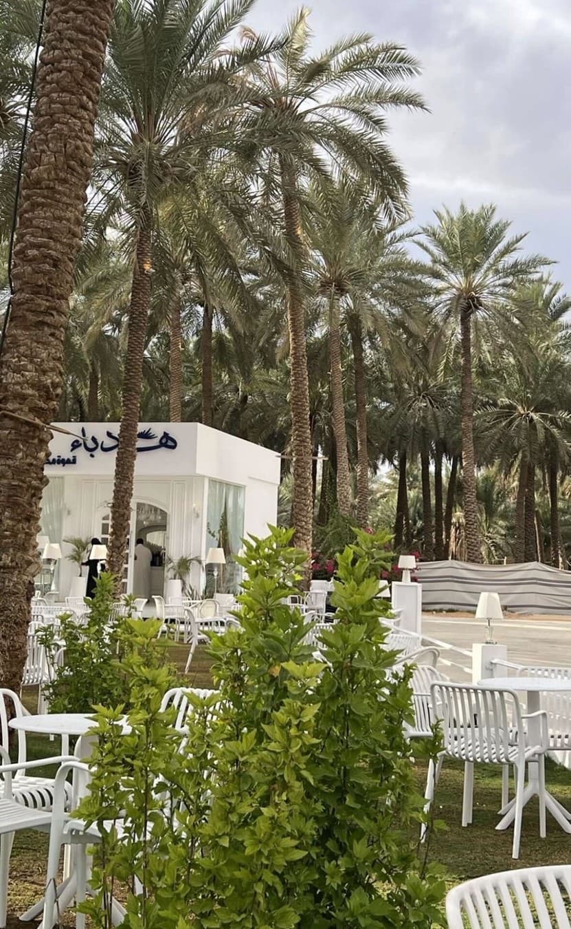 جولة في بريدة وعنيزة جادة عسيب ومتحف العقيلات 🌴