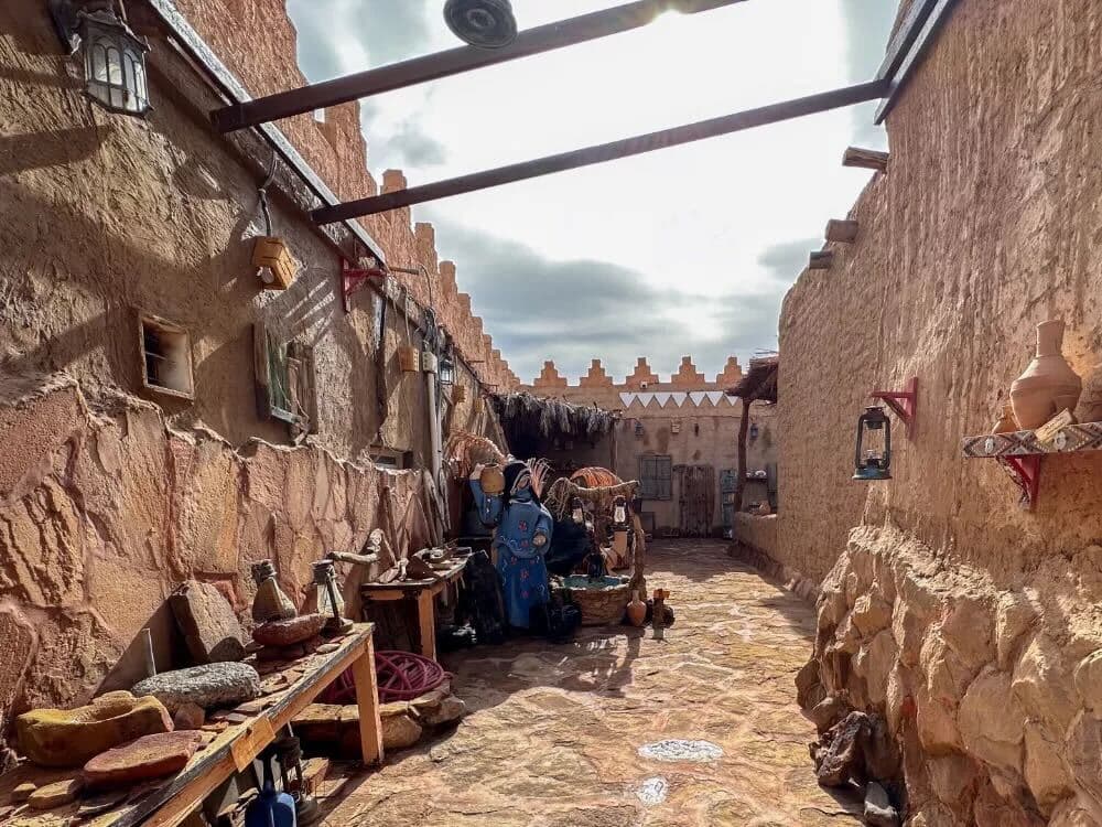 Discover Tabuk's historical and archaeological landmarks with a tour guide