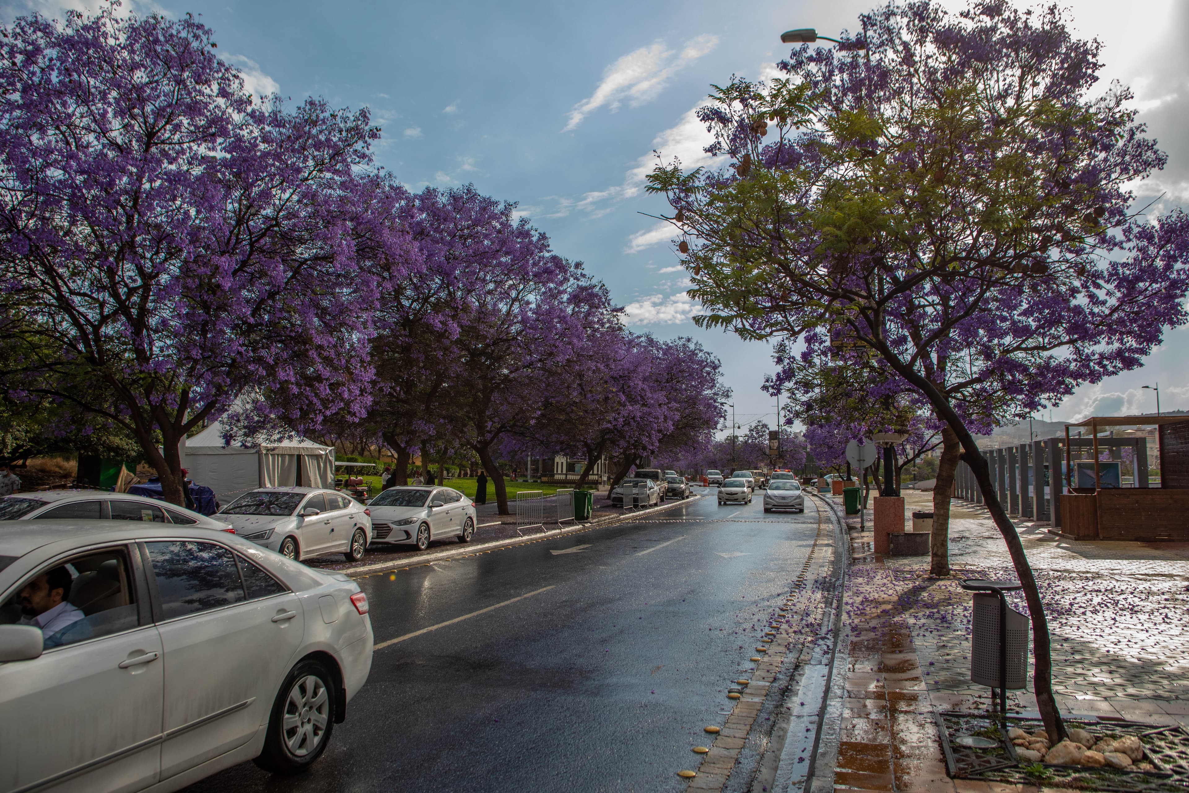 Discover Abha - اكتشف ابها