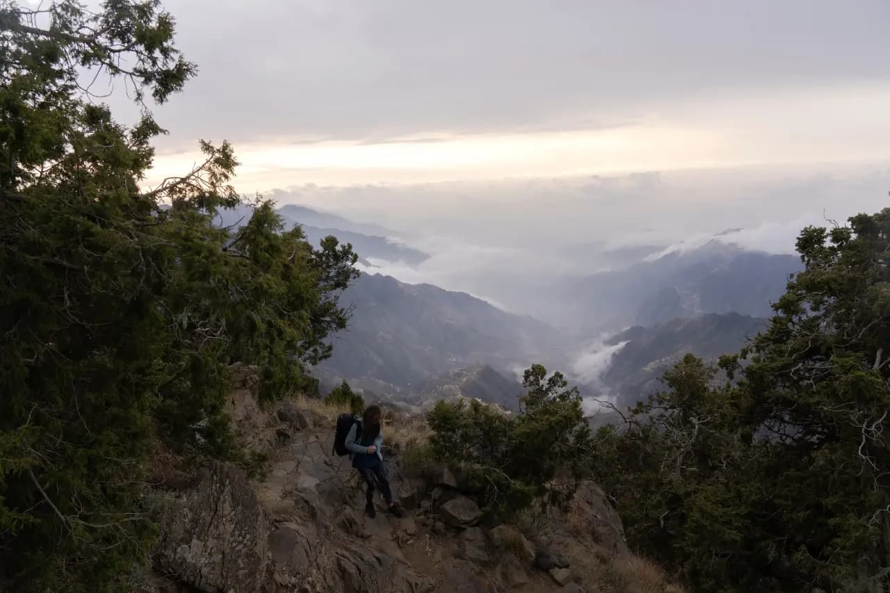 4-night package in Asir with unforgettable experiences including hiking and a visit to coffee plantations