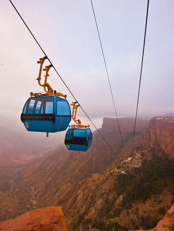 Experience the Jacaranda Season in Abha – The Enchanting Violet Tour