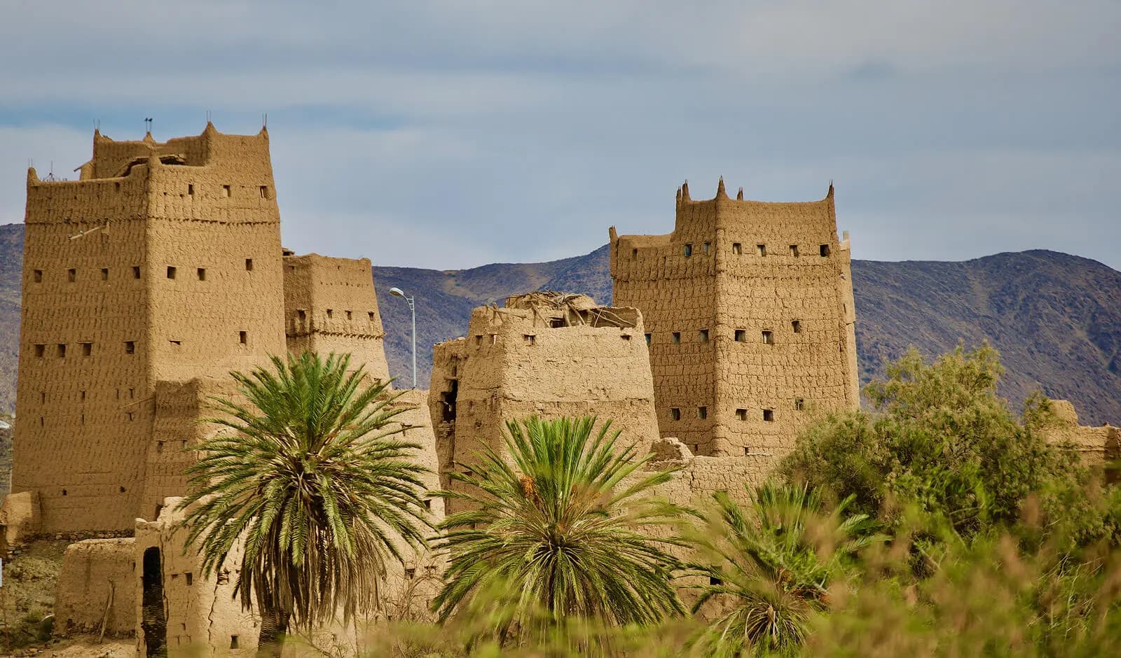 Experience the Jacaranda Season in Abha – The Enchanting Violet Tour