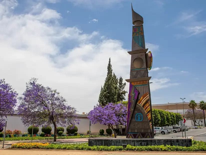 Experience the Jacaranda Season in Abha – The Enchanting Violet Tour