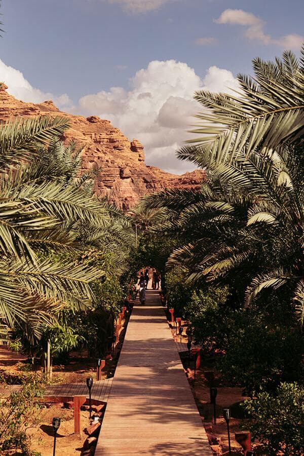 A tour of the heritage oasis trail in Al-Ula