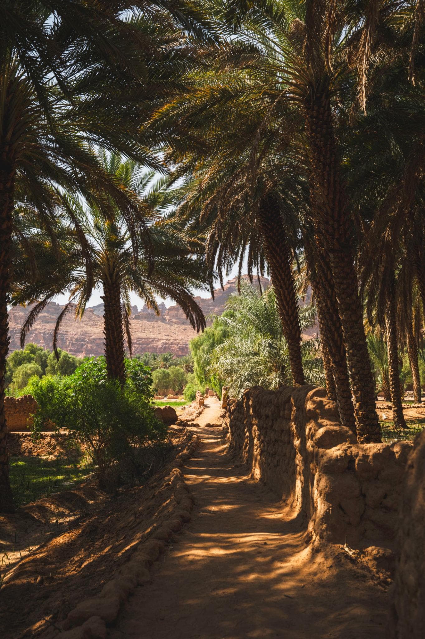 A tour of the heritage oasis trail in Al-Ula