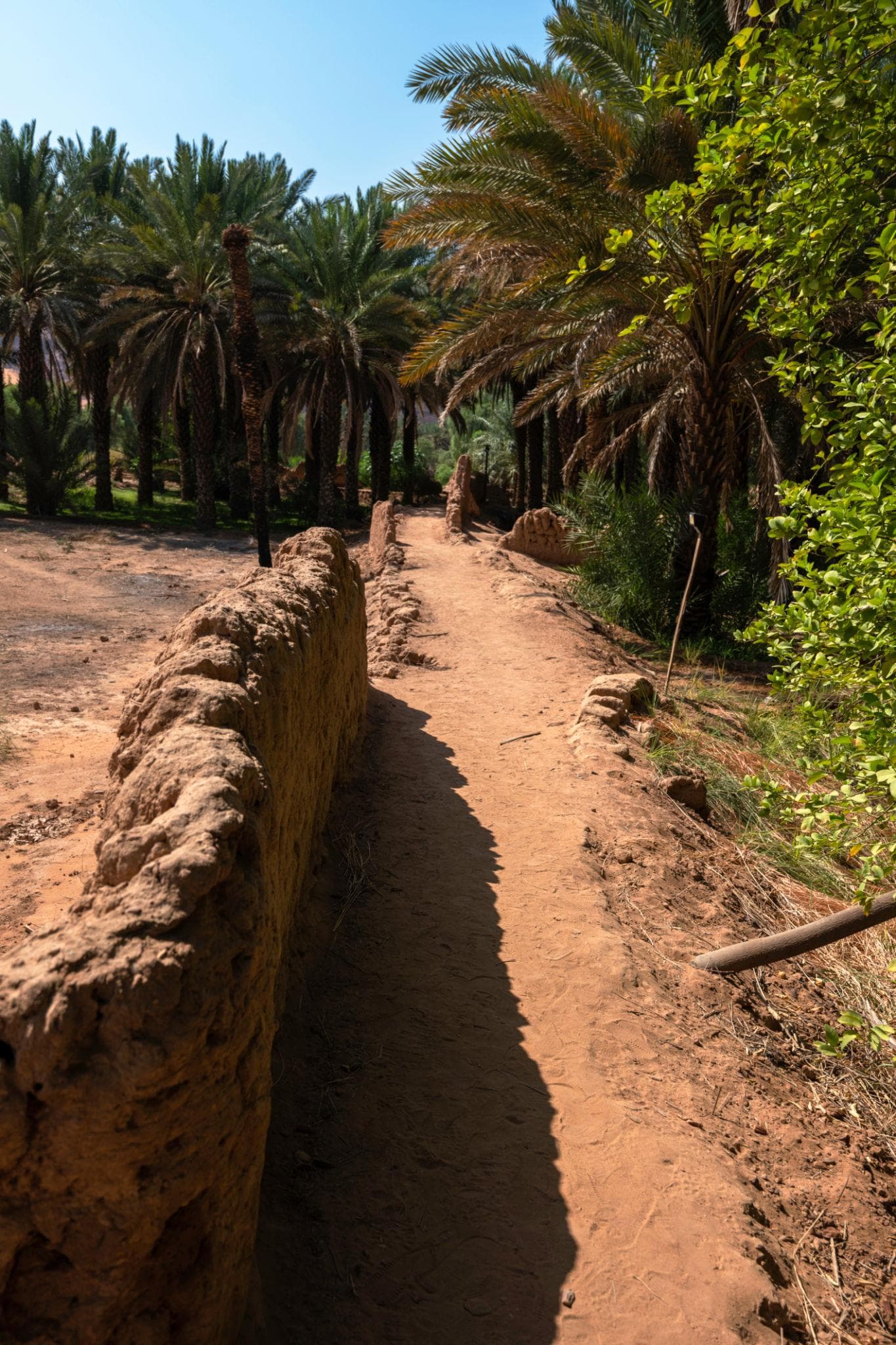 A tour of the heritage oasis trail in Al-Ula