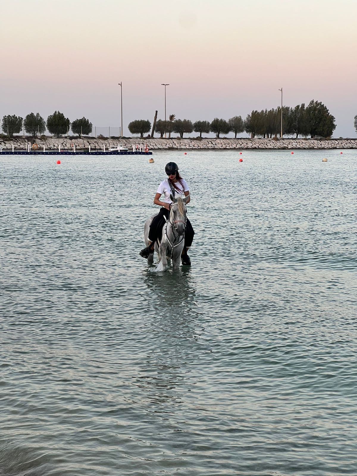 Promenades à cheval à Al-Khobar