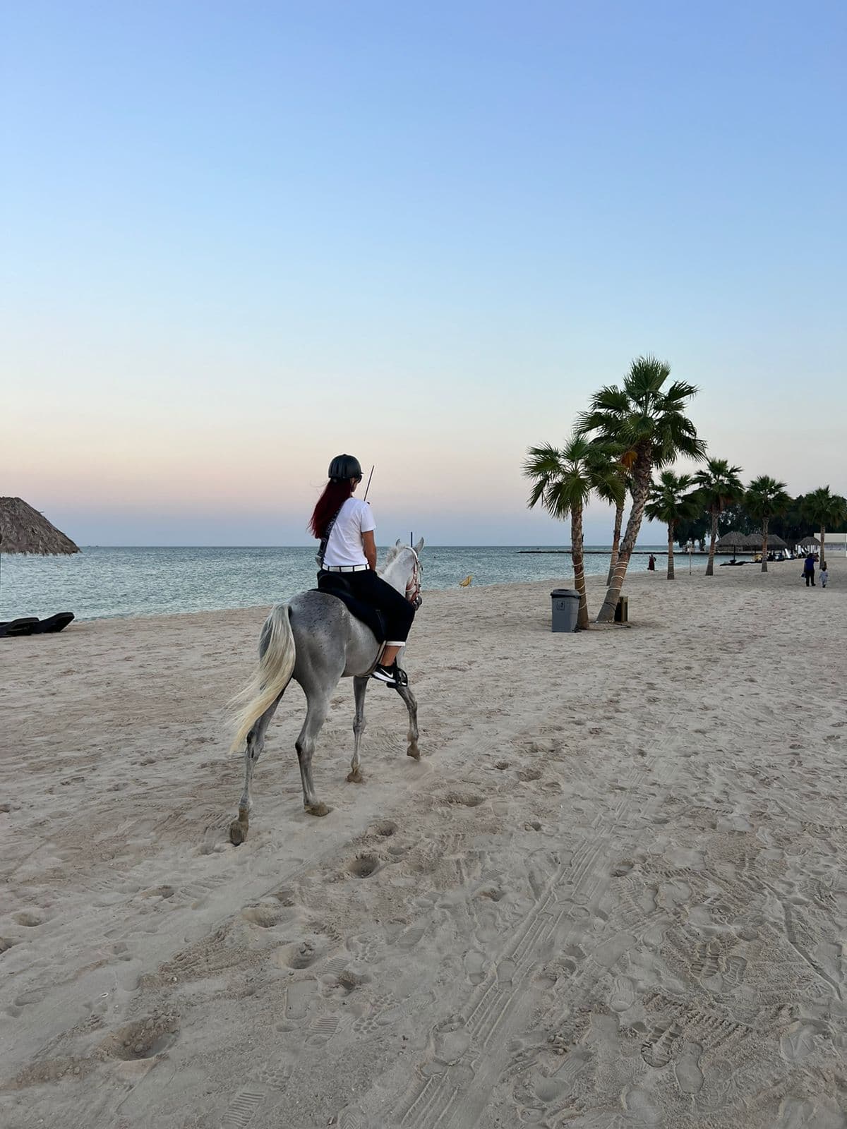 Promenades à cheval à Al-Khobar