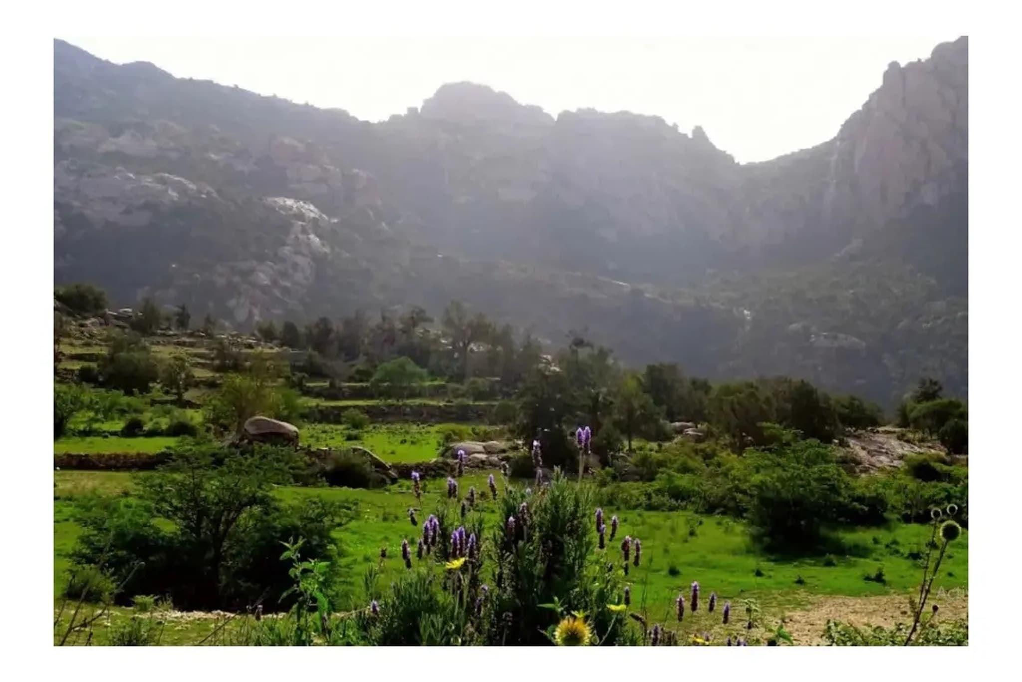 Un recorrido turístico por Tanomah, visitando los parques, cascadas y montañas de Tanomah.