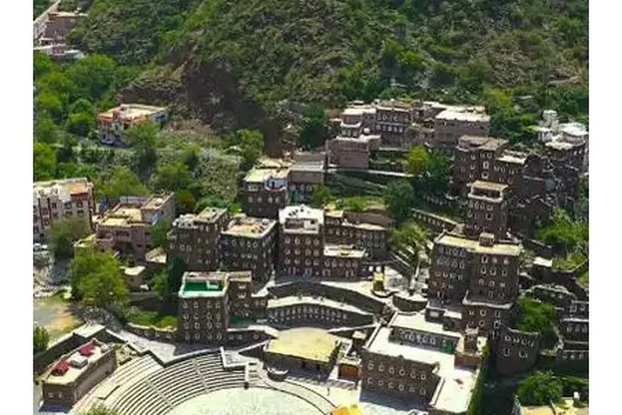 تجربة زيارة مزارع البن العسيري في رجال ألمع