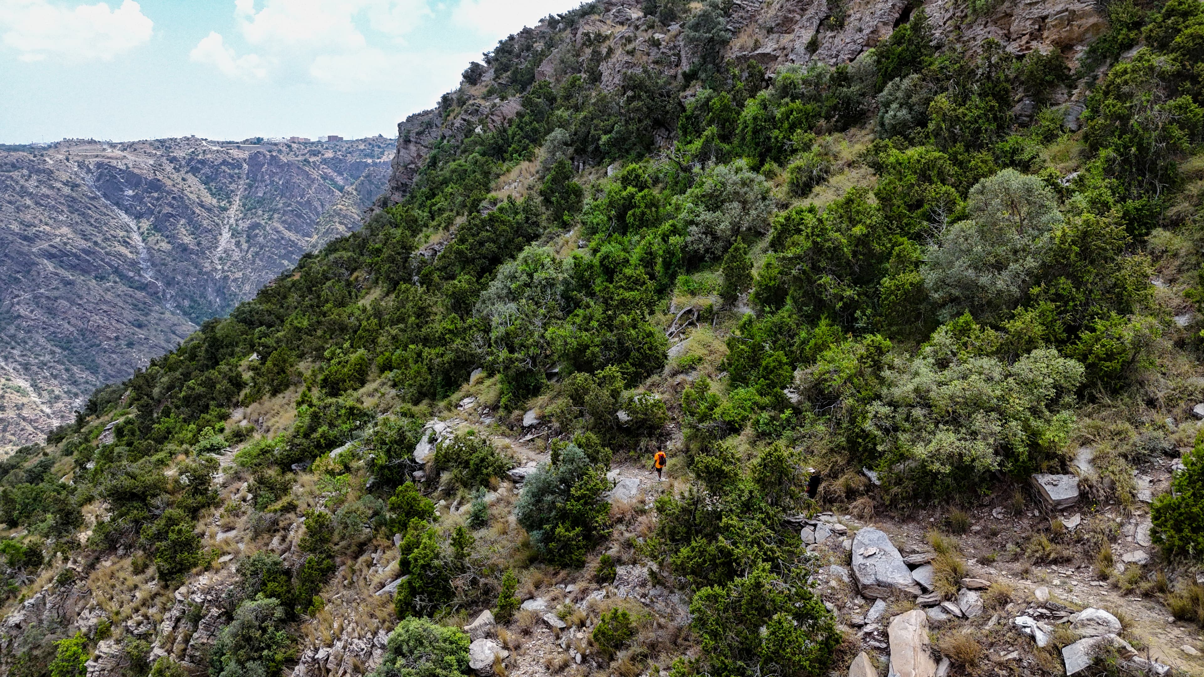 El sendero de la cresta | Tanomah