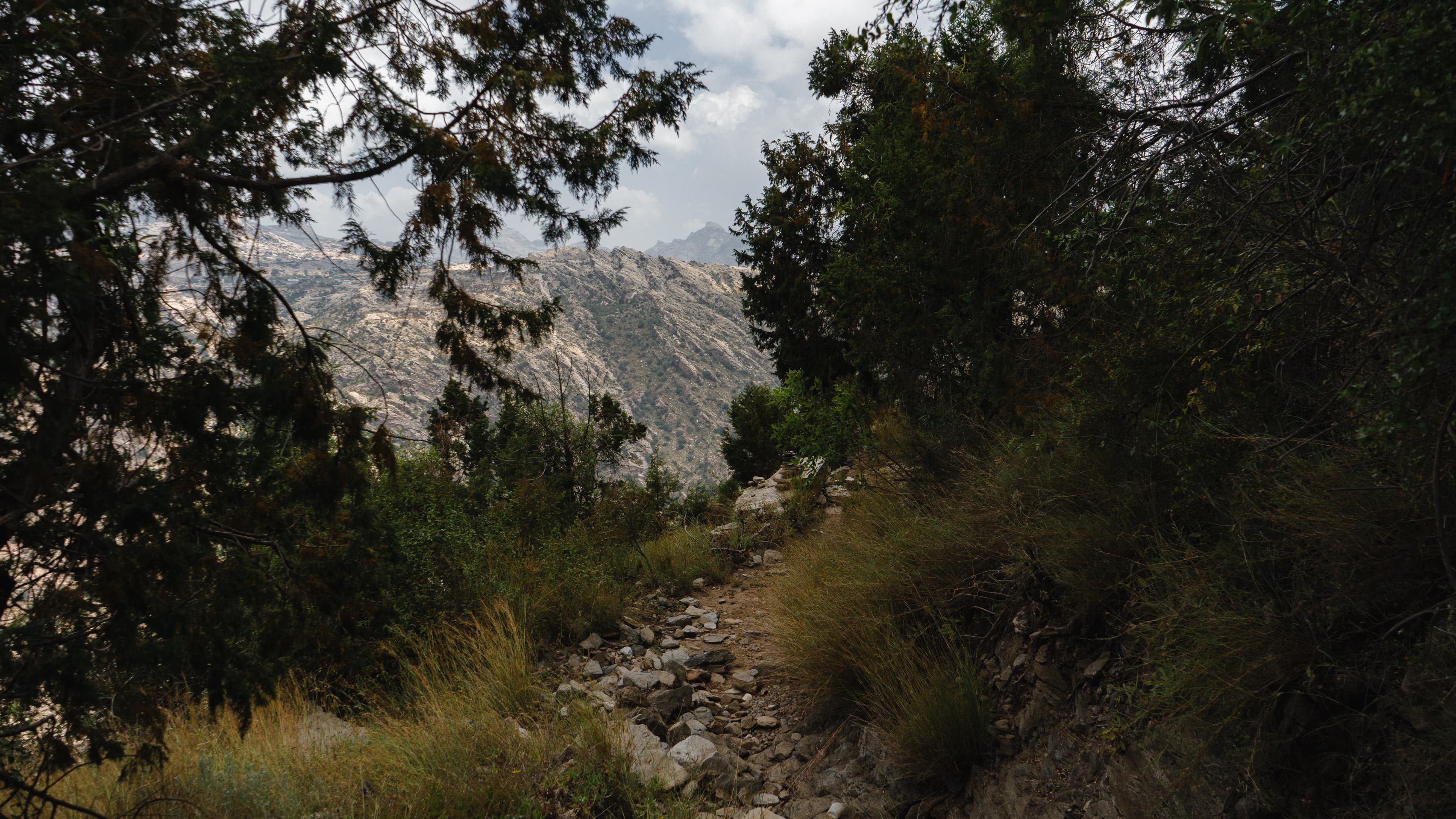 El sendero de la cresta | Tanomah