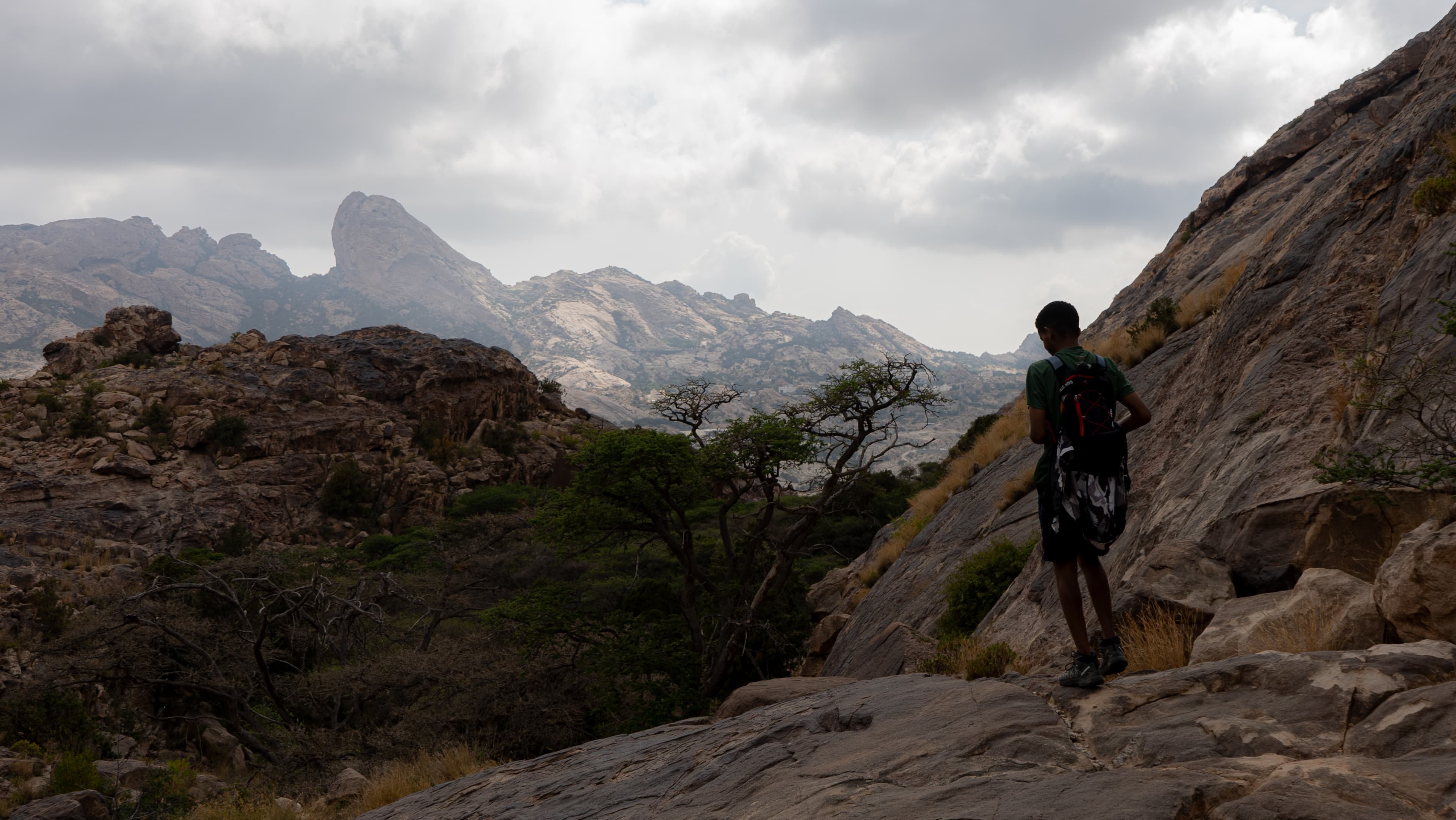 Jurassic Park Trail | Tanomah