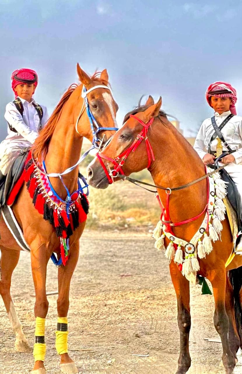 Rasakan pengalaman berkuda di Fal Al Ezz Equestrian Center.