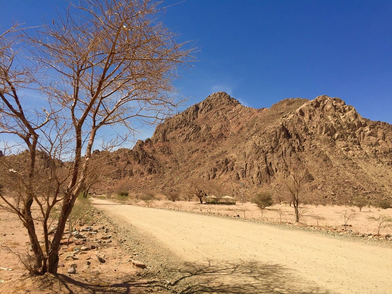 Hiking in the wilderness park in Medina