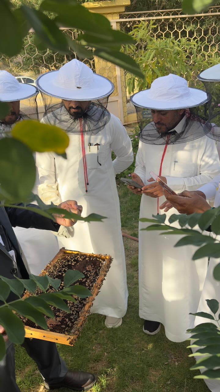 Discover the secrets of bees and honey in bee tourism