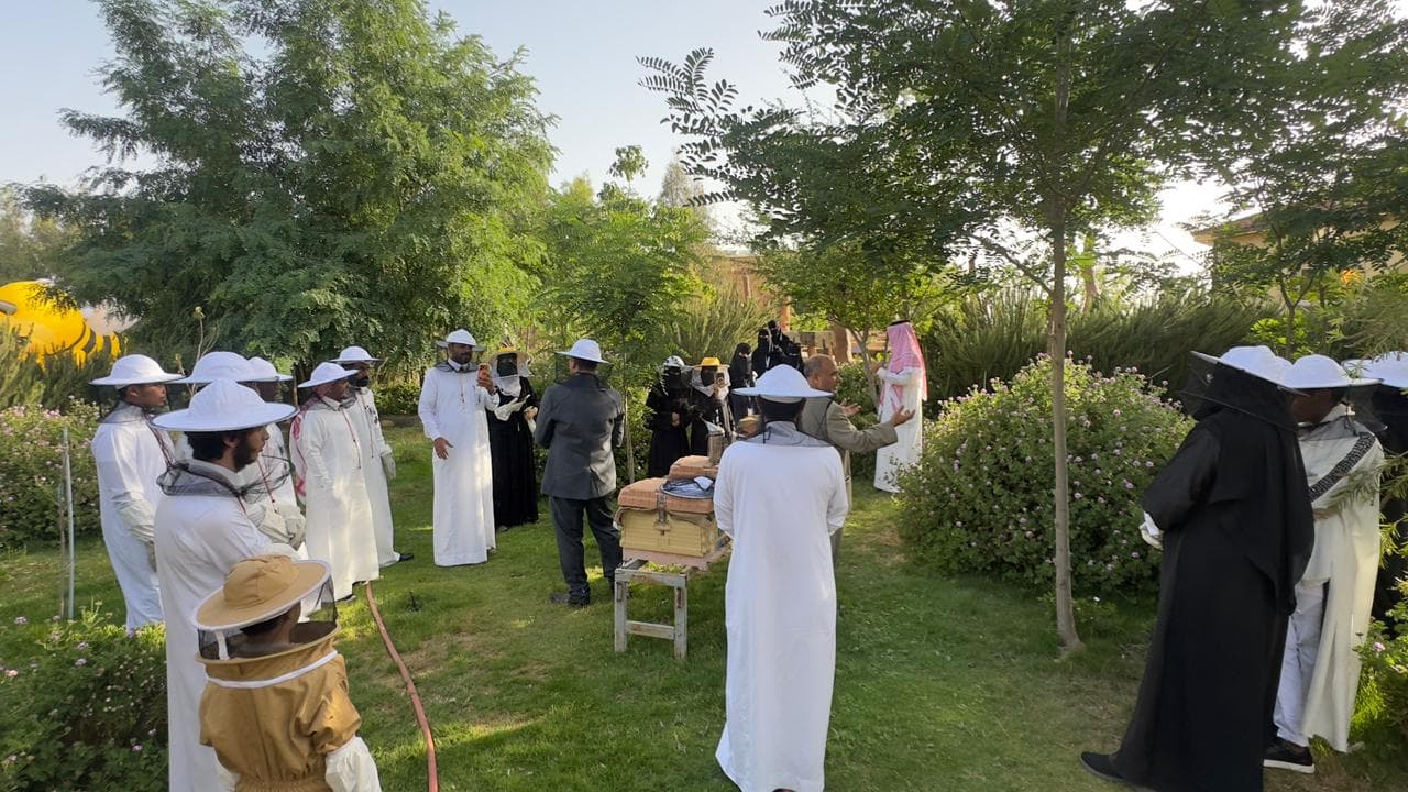Discover the secrets of bees and honey in bee tourism