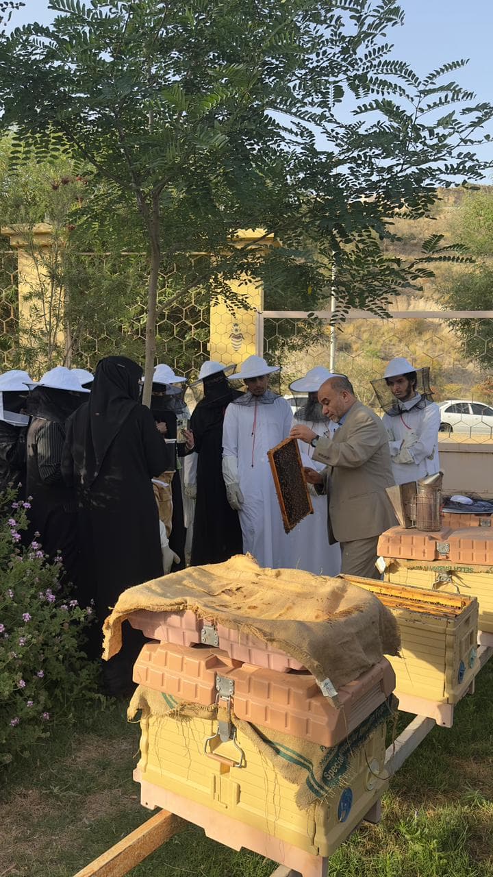 Discover the secrets of bees and honey in bee tourism