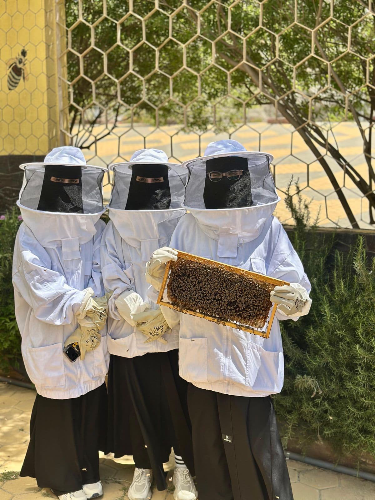 Discover the secrets of bees and honey in bee tourism