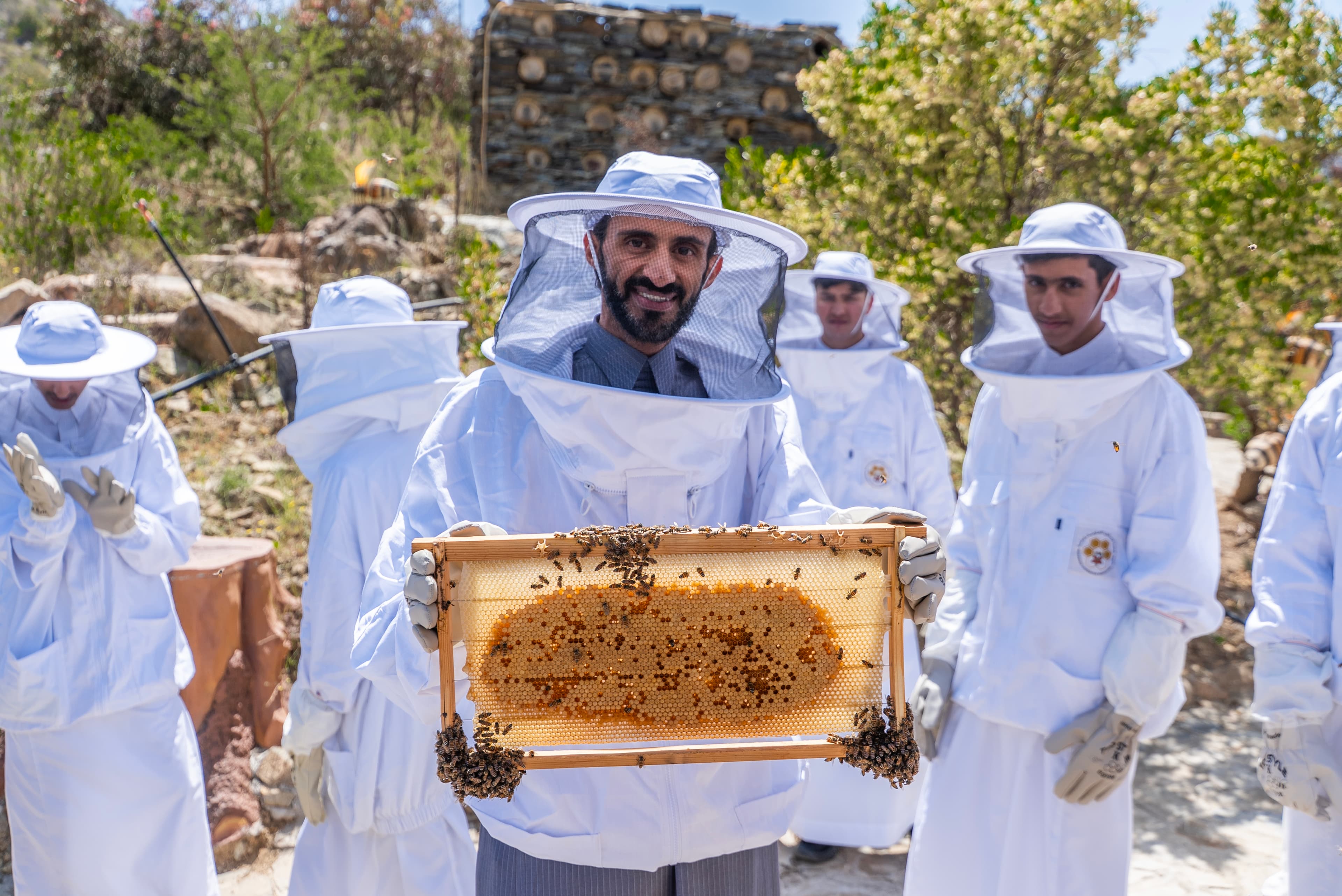 Discover the secrets of bees and honey in bee tourism