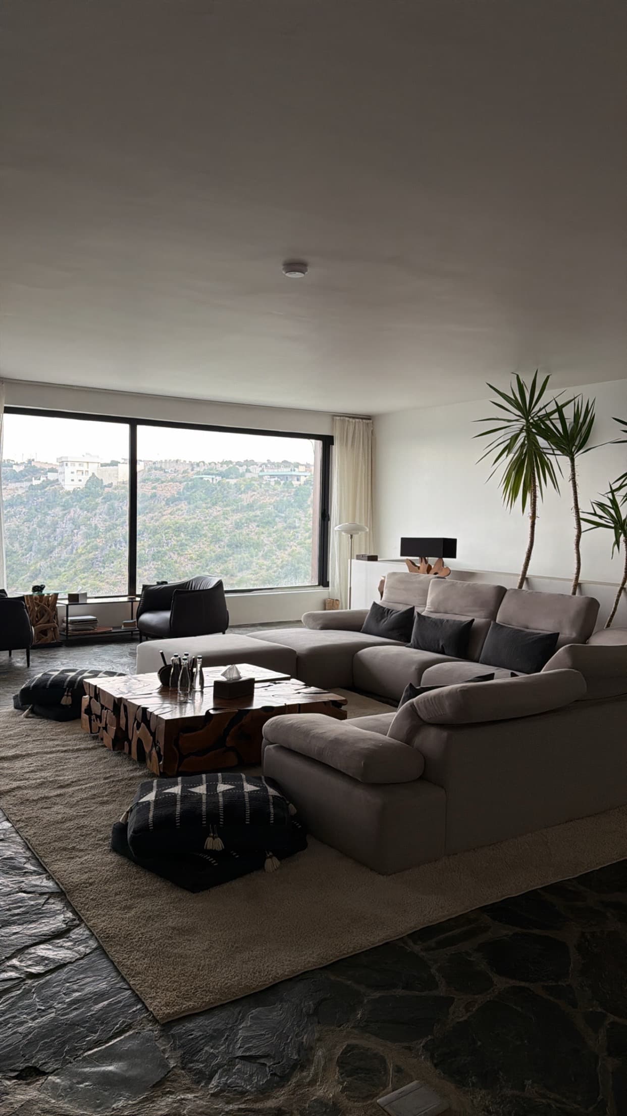 فراس ال مشري gallery image 3
