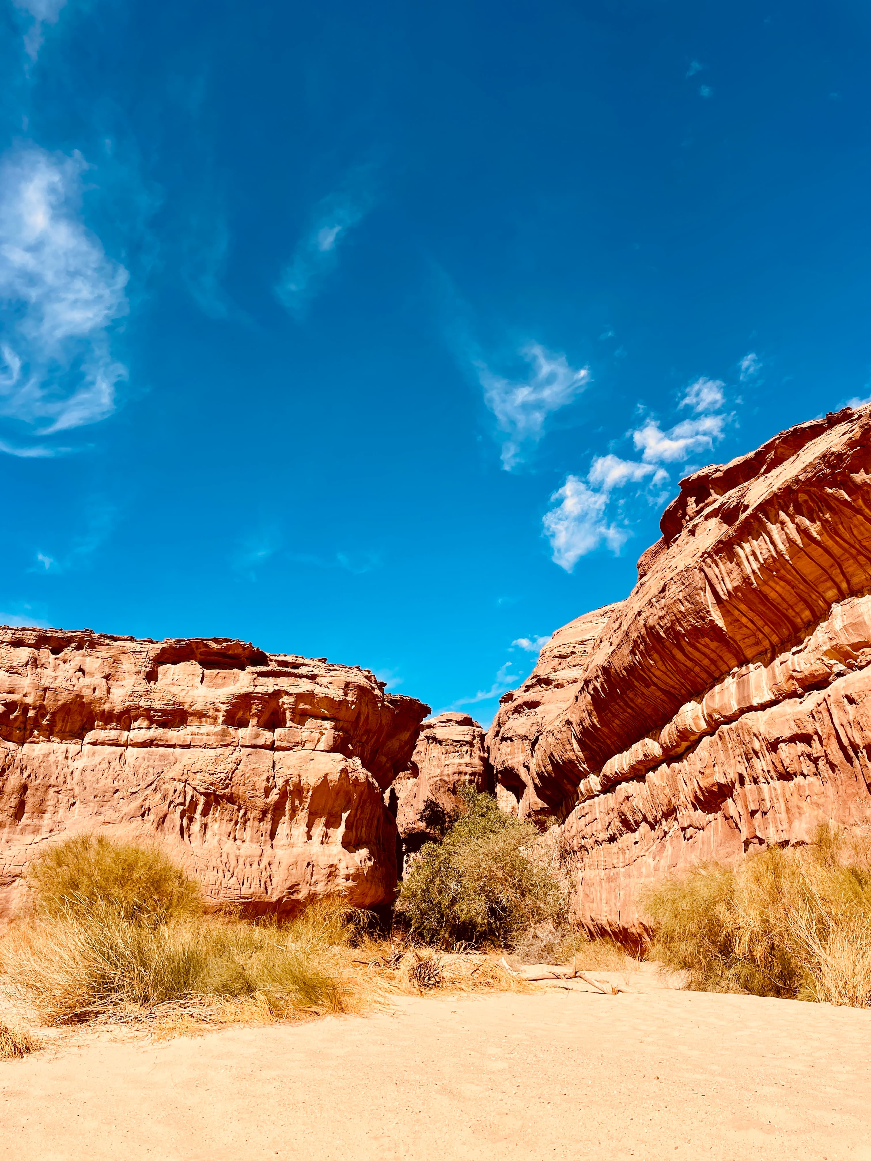 Al-Ula: A tour of the Sharaan Nature Reserve by four-wheel drive vehicle