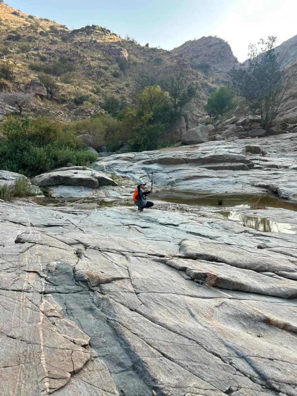 चलो, अल-शिफा चलते हैं।