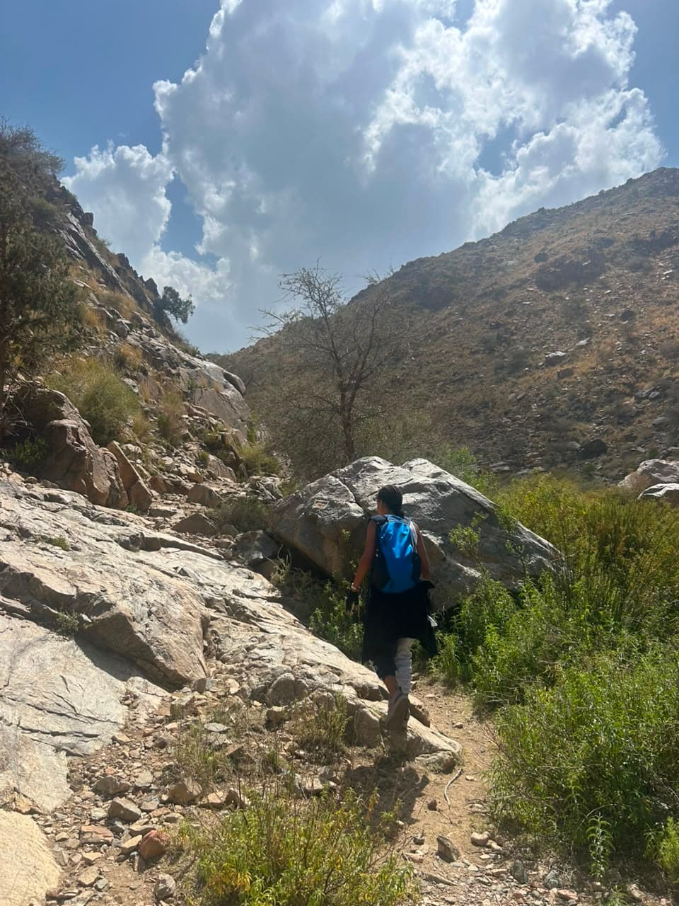 चलो, अल-शिफा चलते हैं।