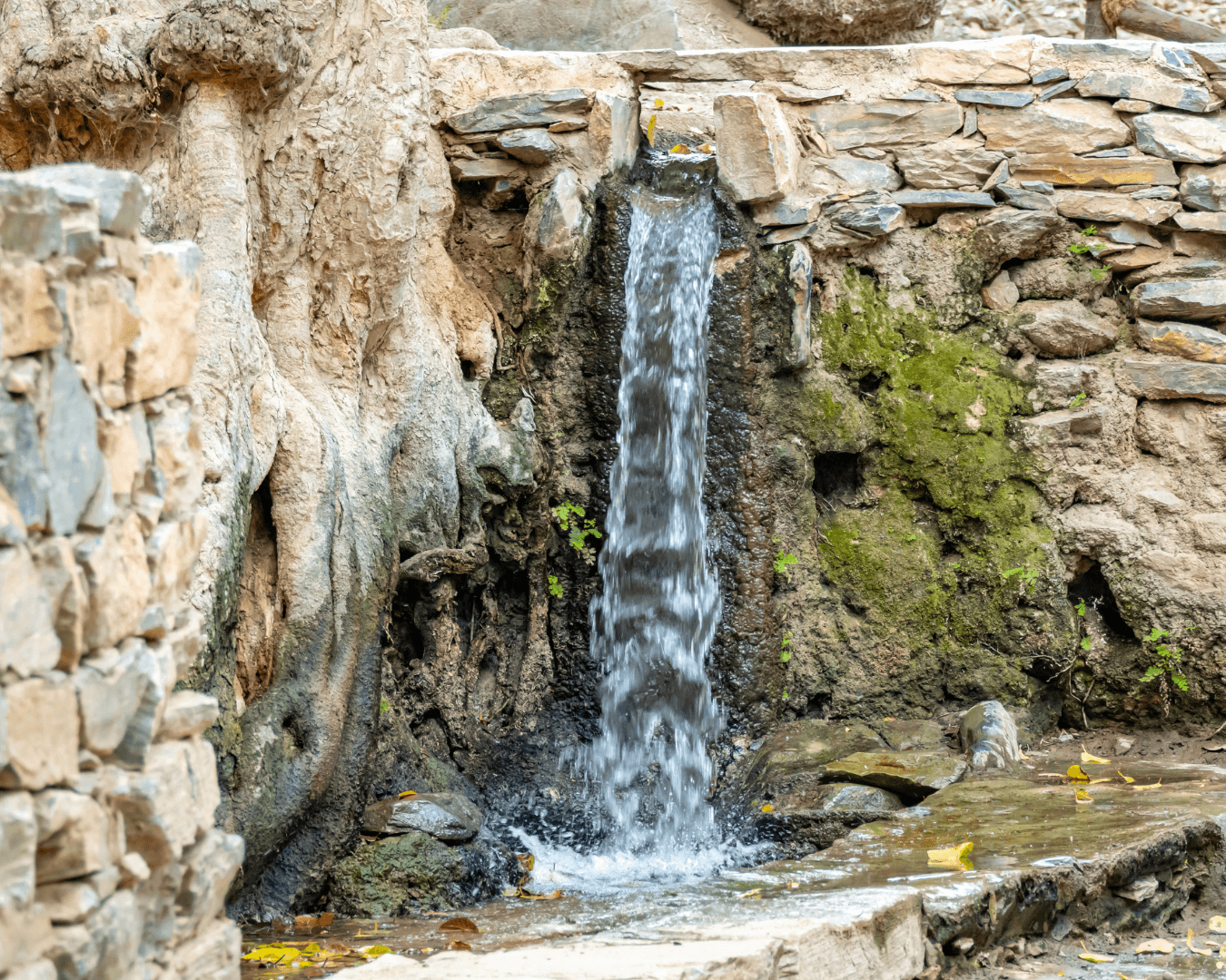 A trip to the heritage village of Dhi Ain