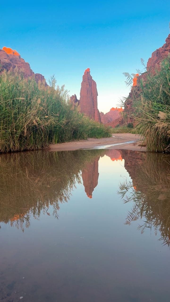 Vive una aventura en Al-Disah: un safari nocturno inolvidable.