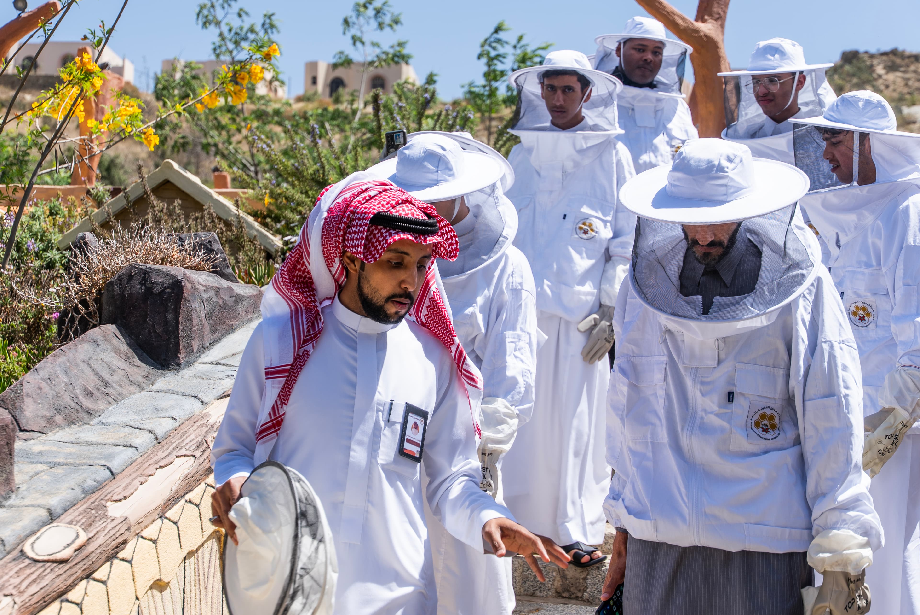 One-person entry to explore the world of bees